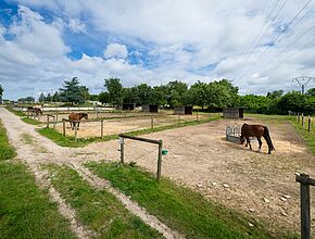 prairie centre équestre - Agrandir l'image (fenêtre modale)