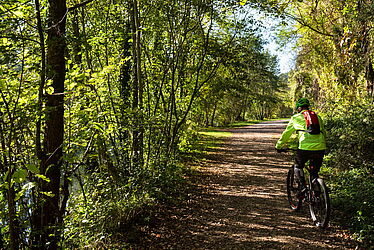 Personne faisant une balade en VTT