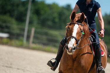 Cavalier sur un cheval