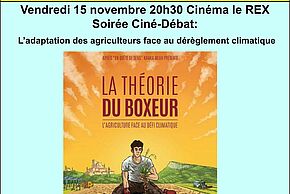 Affiche du ciné-débat autour du film "La Théorie du Boxeur"