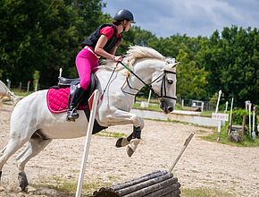 cavalière sautant un obstacle - Agrandir l'image (fenêtre modale)