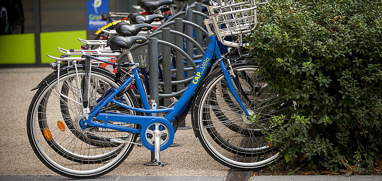 Vélos du service "Cap sur le Vélo" stationnés 