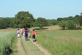 Marche gourmande