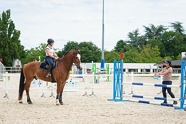 cavalier devant un obstacle