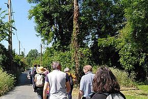 Photo d'un groupe de participants à une balade sonore au bord du Clain